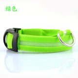 LED Light Night-Safety Dog Collar - Flash Glow in Dark Pet Collar